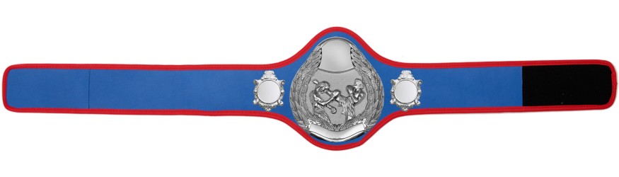 THAI BOXING CHAMPIONSHIP BELT-PRO301/S/TBOS- 10 + COLOURS THAI BOXING CHAMPIONSHIP BELT-PRO301/S/TBOS- 10 + COLOURS